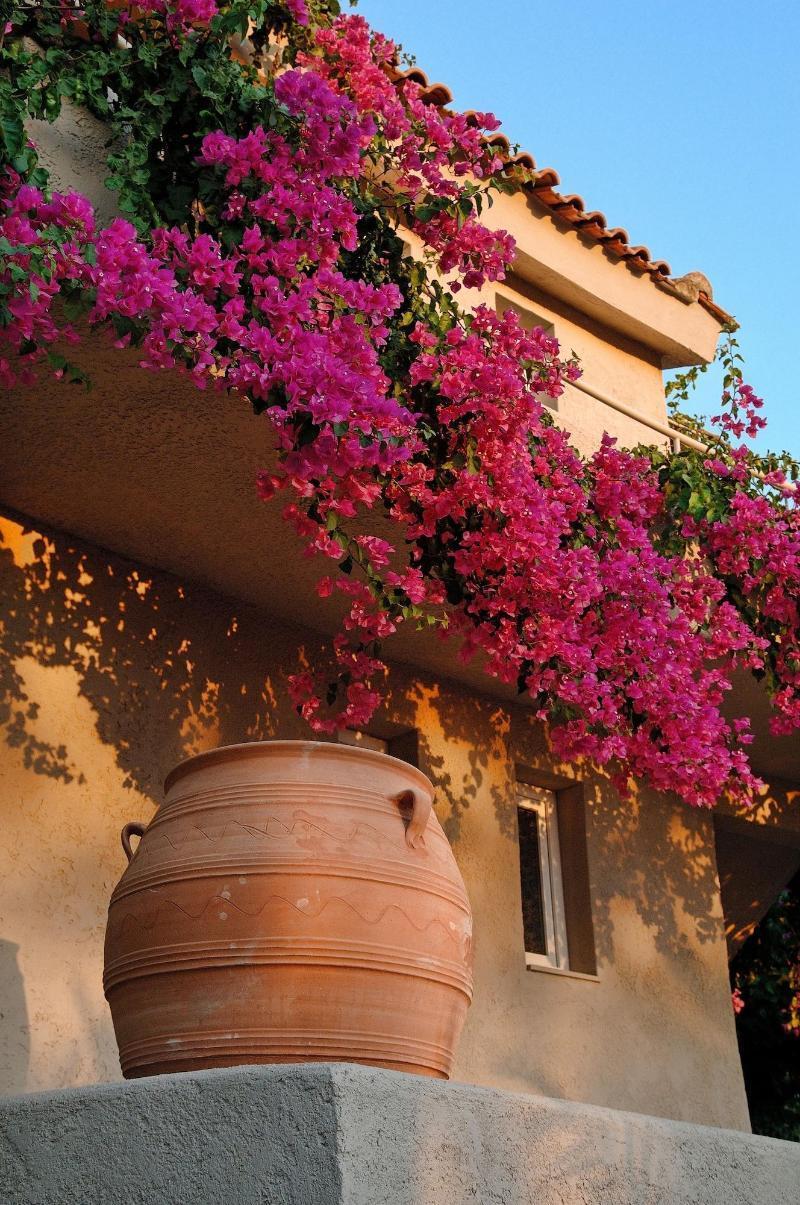 Paradise Island Villas Limenas Chersonisou Exterior foto